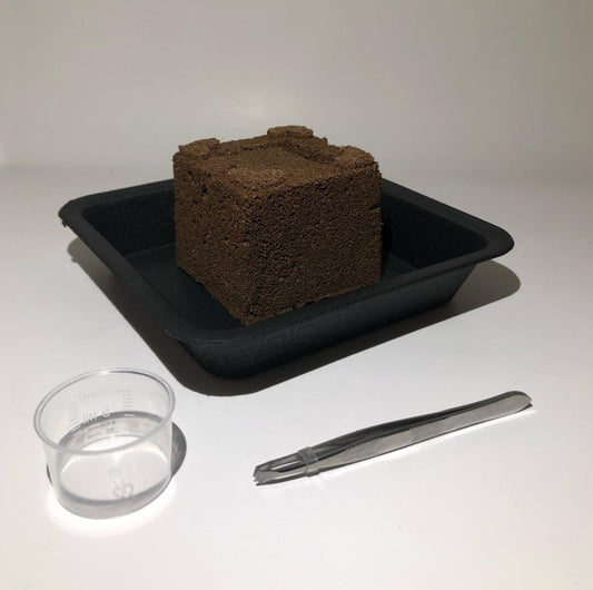 Einfaches Starter Set