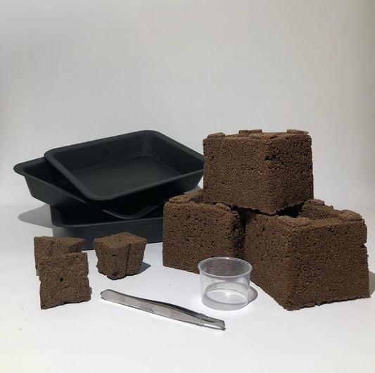 Komplettset für 3 Stecklinge