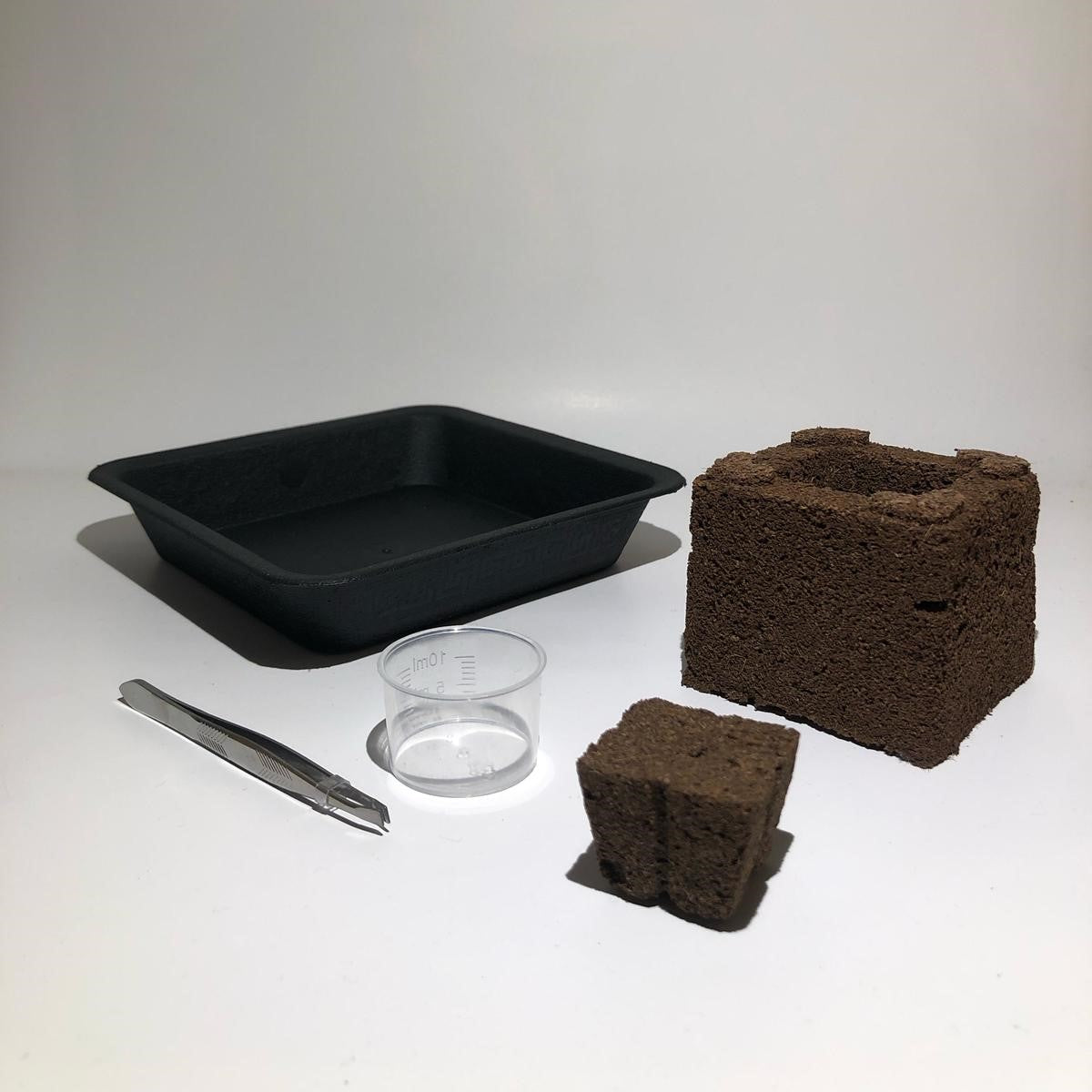 Einfaches Starter Set